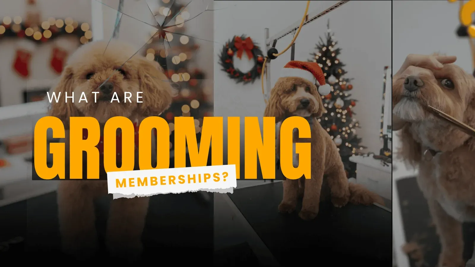 Membership Video